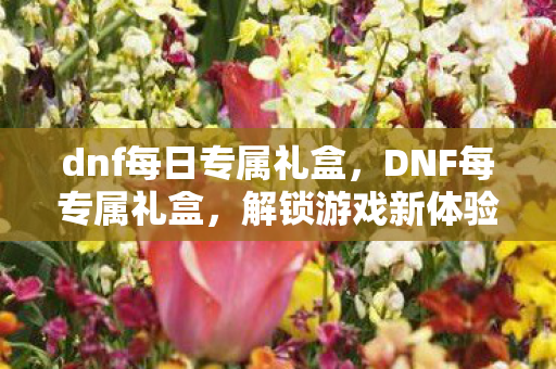 dnf每日专属礼盒,DNF每专属礼盒,解锁游戏新体验,助力角色成长 dnf每日专属礼盒,DNF每专属礼盒,解锁游戏新体验,助力角色成长