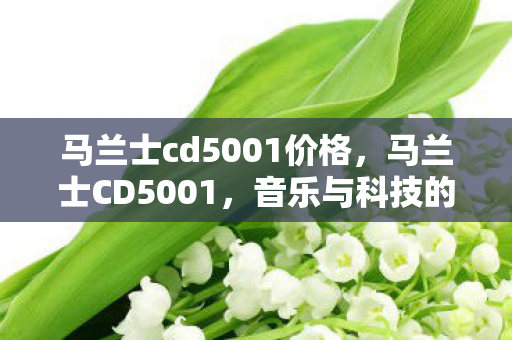 马兰士cd5001价格,马兰士CD5001,音乐与科技的完美融合 马兰士cd5001价格,马兰士CD5001,音乐与科技的完美融合