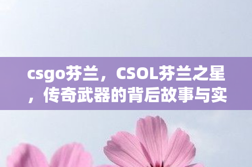 csgo芬兰,CSOL芬兰之星,传奇武器的背后故事与实战应用 csgo芬兰,CSOL芬兰之星,传奇武器的背后故事与实战应用