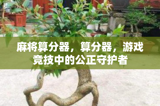 麻将算分器，算分器，游戏竞技中的公正守护者