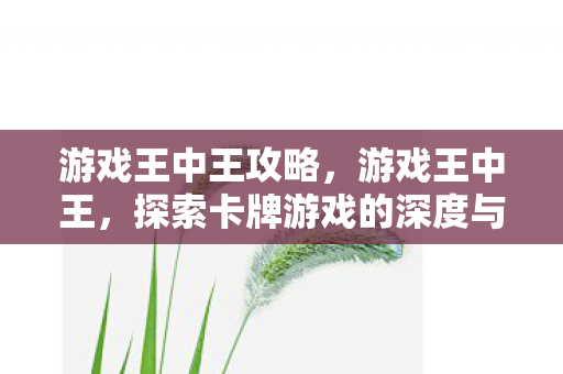 游戏王中王攻略,游戏王中王,探索卡牌游戏的深度与魅力 游戏王中王攻略,游戏王中王,探索卡牌游戏的深度与魅力