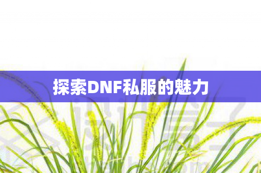 探索DNF私服的魅力 探索DNF私服的魅力