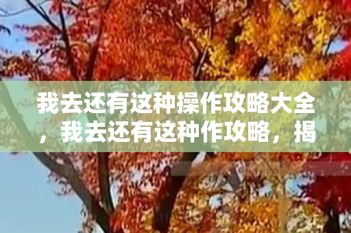 我去还有这种操作攻略大全,我去还有这种作攻略,揭秘游戏内购的另类玩法 我去还有这种操作攻略大全,我去还有这种作攻略,揭秘游戏内购的另类玩法