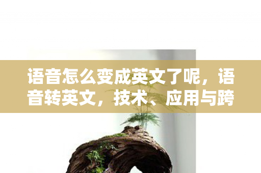 语音怎么变成英文了呢,语音转英文,技术、应用与跨文化交流的桥梁 语音怎么变成英文了呢,语音转英文,技术、应用与跨文化交流的桥梁