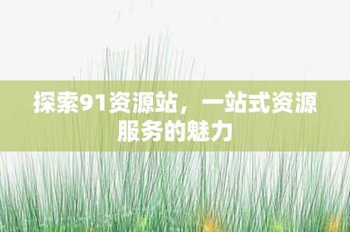 探索91资源站,一站式资源服务的魅力 探索91资源站,一站式资源服务的魅力