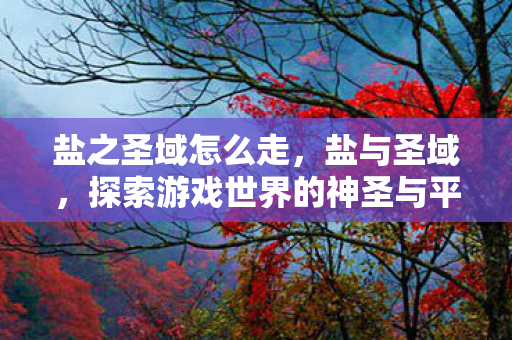 盐之圣域怎么走,盐与圣域,探索游戏世界的神圣与平凡 盐之圣域怎么走,盐与圣域,探索游戏世界的神圣与平凡