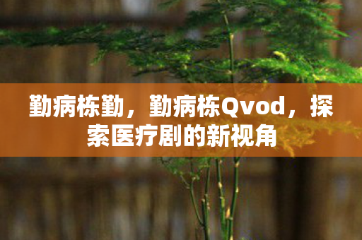 勤病栋勤,勤病栋Qvod,探索医疗剧的新视角 勤病栋勤,勤病栋Qvod,探索医疗剧的新视角