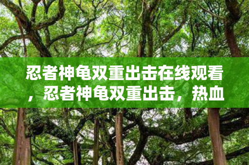 忍者神龟双重出击在线观看，忍者神龟双重出击，热血与智慧的双重盛宴
