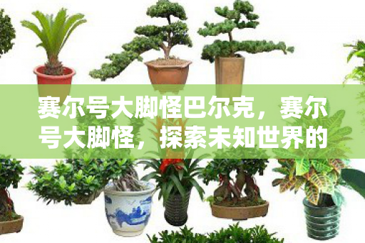赛尔号大脚怪巴尔克,赛尔号大脚怪,探索未知世界的奇妙之旅 赛尔号大脚怪巴尔克,赛尔号大脚怪,探索未知世界的奇妙之旅