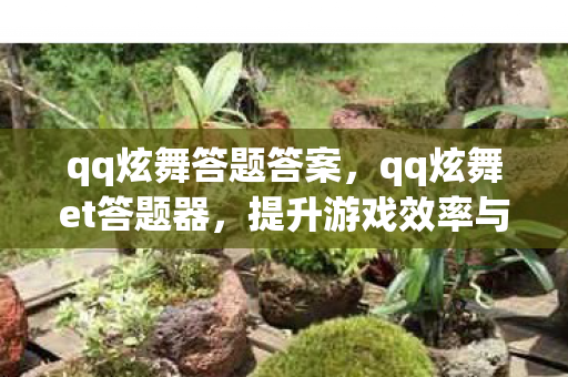 qq炫舞答题答案,qq炫舞et答题器,提升游戏效率与乐趣的利器 qq炫舞答题答案,qq炫舞et答题器,提升游戏效率与乐趣的利器