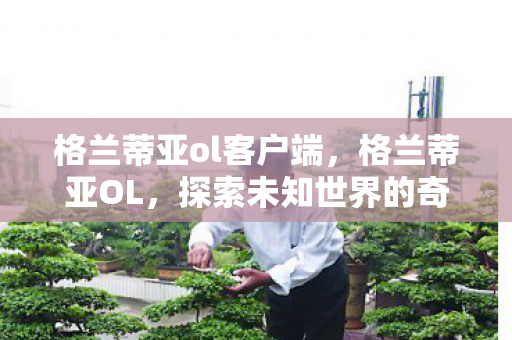 格兰蒂亚ol客户端,格兰蒂亚OL,探索未知世界的奇幻之旅 格兰蒂亚ol客户端,格兰蒂亚OL,探索未知世界的奇幻之旅