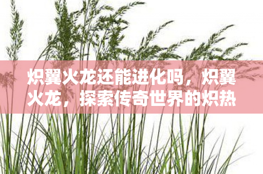 炽翼火龙还能进化吗,炽翼火龙,探索传奇世界的炽热火焰 炽翼火龙还能进化吗,炽翼火龙,探索传奇世界的炽热火焰