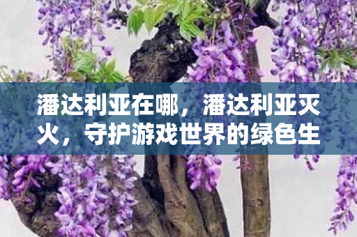 潘达利亚在哪,潘达利亚灭火,守护游戏世界的绿色生态 潘达利亚在哪,潘达利亚灭火,守护游戏世界的绿色生态