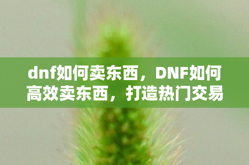 dnf如何卖东西,DNF如何高效卖东西,打造热门交易的策略 dnf如何卖东西,DNF如何高效卖东西,打造热门交易的策略