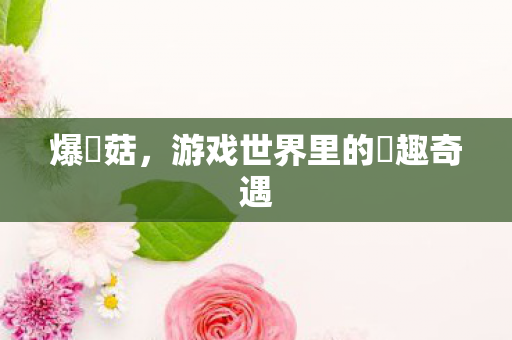 爆囧菇,游戏世界里的囧趣奇遇 爆囧菇,游戏世界里的囧趣奇遇