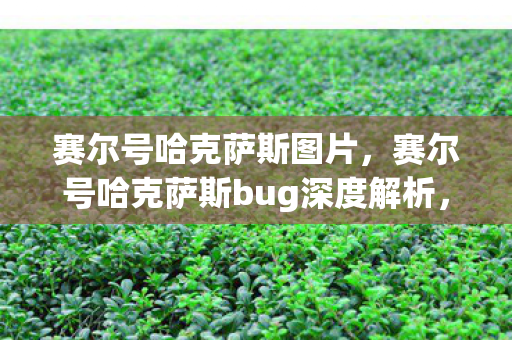 赛尔号哈克萨斯图片,赛尔号哈克萨斯bug深度解析,游戏平衡的挑战与机遇 赛尔号哈克萨斯图片,赛尔号哈克萨斯bug深度解析,游戏平衡的挑战与机遇