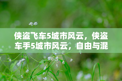 侠盗飞车5城市风云,侠盗车手5城市风云,自由与混乱的交响曲 侠盗飞车5城市风云,侠盗车手5城市风云,自由与混乱的交响曲