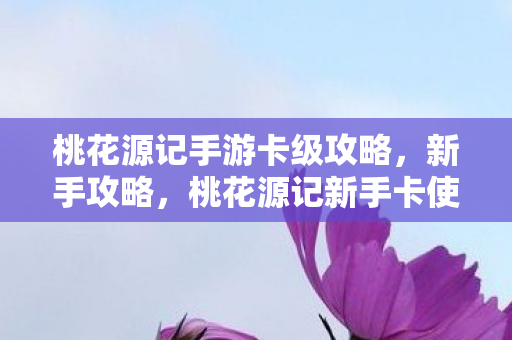 桃花源记手游卡级攻略,新手攻略,桃花源记新手卡使用指南 桃花源记手游卡级攻略,新手攻略,桃花源记新手卡使用指南