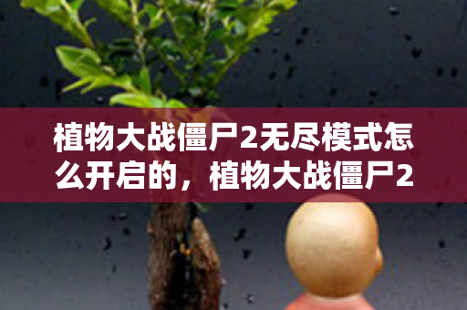 植物大战僵尸2无尽模式怎么开启的,植物大战僵尸2,解锁无尽模式的策略与技巧 植物大战僵尸2无尽模式怎么开启的,植物大战僵尸2,解锁无尽模式的策略与技巧