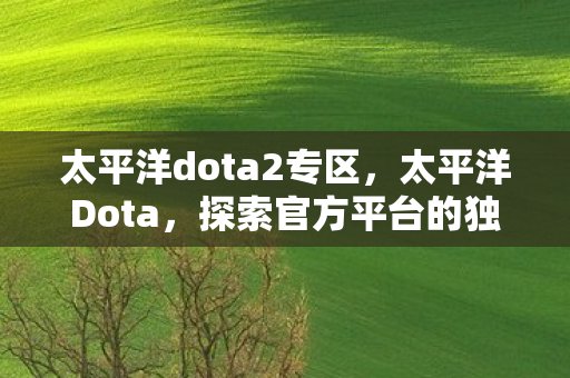 太平洋dota2专区,太平洋Dota,探索官方平台的独特魅力与社区生态 太平洋dota2专区,太平洋Dota,探索官方平台的独特魅力与社区生态