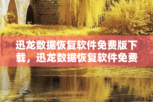 迅龙数据恢复软件免费版下载，迅龙数据恢复软件免费版，高效、安全的数据恢复利器