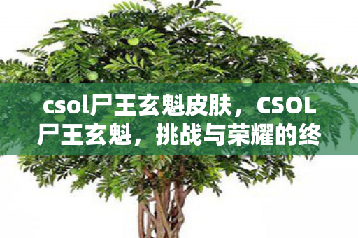 csol尸王玄魁皮肤,CSOL尸王玄魁,挑战与荣耀的终极对决 csol尸王玄魁皮肤,CSOL尸王玄魁,挑战与荣耀的终极对决