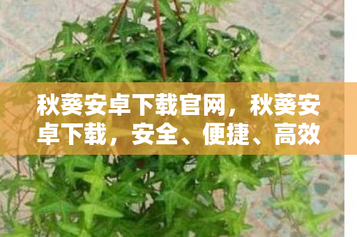 秋葵安卓下载官网,秋葵安卓下载,安全、便捷、高效的下载体验 秋葵安卓下载官网,秋葵安卓下载,安全、便捷、高效的下载体验