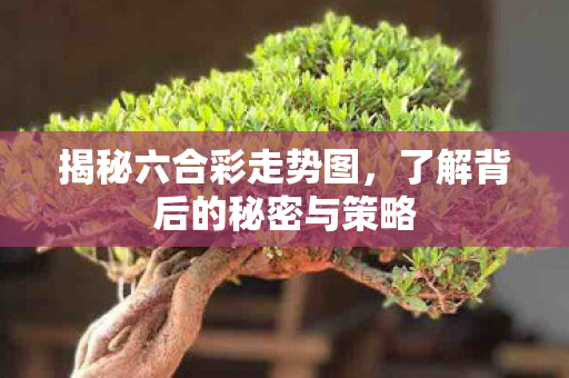 揭秘六合彩走势图，了解背后的秘密与策略