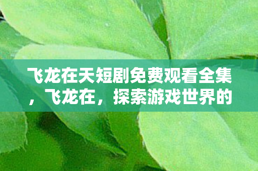 飞龙在天短剧免费观看全集，飞龙在，探索游戏世界的无限可能
