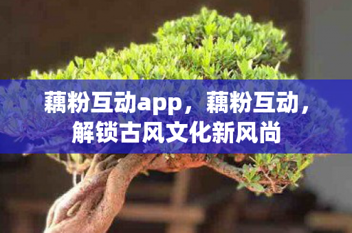 藕粉互动app,藕粉互动,解锁古风文化新风尚 藕粉互动app,藕粉互动,解锁古风文化新风尚