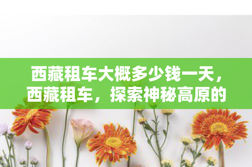 西藏租车大概多少钱一天，西藏租车，探索神秘高原的便捷之旅