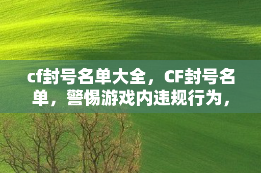 cf封号名单大全,CF封号名单,警惕游戏内违规行为,维护公平竞技环境 cf封号名单大全,CF封号名单,警惕游戏内违规行为,维护公平竞技环境