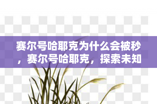 赛尔号哈耶克为什么会被秒,赛尔号哈耶克,探索未知,挑战极限 赛尔号哈耶克为什么会被秒,赛尔号哈耶克,探索未知,挑战极限