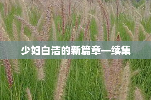 少妇白洁的新篇章—续集