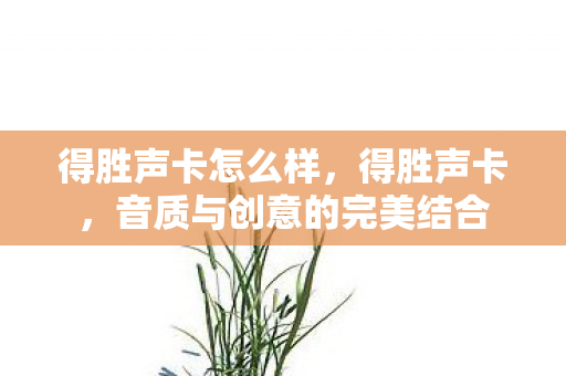 得胜声卡怎么样,得胜声卡,音质与创意的完美结合 得胜声卡怎么样,得胜声卡,音质与创意的完美结合