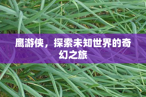 鹰游侠,探索未知世界的奇幻之旅 鹰游侠,探索未知世界的奇幻之旅