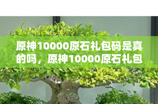 原神10000原石礼包码是真的吗，原神10000原石礼包码未过期，速来领取！