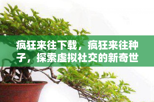 疯狂来往下载,疯狂来往种子,探索虚拟社交的新奇世界 疯狂来往下载,疯狂来往种子,探索虚拟社交的新奇世界