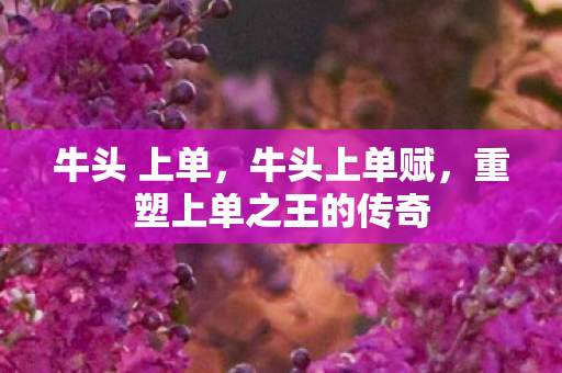 牛头 上单，牛头上单赋，重塑上单之王的传奇