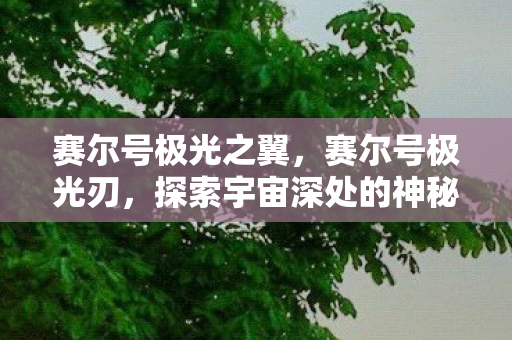 赛尔号极光之翼,赛尔号极光刃,探索宇宙深处的神秘力量 赛尔号极光之翼,赛尔号极光刃,探索宇宙深处的神秘力量