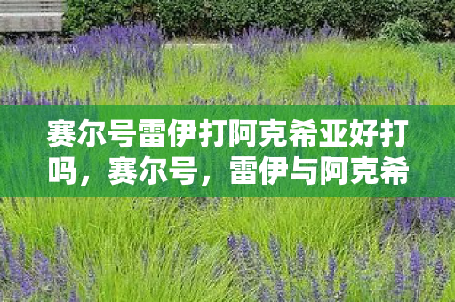 赛尔号雷伊打阿克希亚好打吗,赛尔号,雷伊与阿克希亚的宿命对决 赛尔号雷伊打阿克希亚好打吗,赛尔号,雷伊与阿克希亚的宿命对决