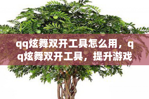 qq炫舞双开工具怎么用,qq炫舞双开工具,提升游戏效率与乐趣的实用工具 qq炫舞双开工具怎么用,qq炫舞双开工具,提升游戏效率与乐趣的实用工具