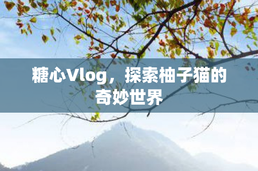 糖心Vlog,探索柚子猫的奇妙世界 糖心Vlog,探索柚子猫的奇妙世界