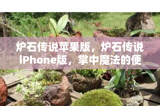 炉石传说苹果版，炉石传说iPhone版，掌中魔法的便捷体验