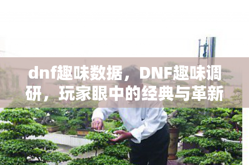 dnf趣味数据,DNF趣味调研,玩家眼中的经典与革新 dnf趣味数据,DNF趣味调研,玩家眼中的经典与革新