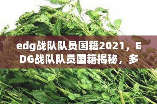 edg战队队员国籍2021,EDG战队队员国籍揭秘,多元文化的碰撞与融合 edg战队队员国籍2021,EDG战队队员国籍揭秘,多元文化的碰撞与融合