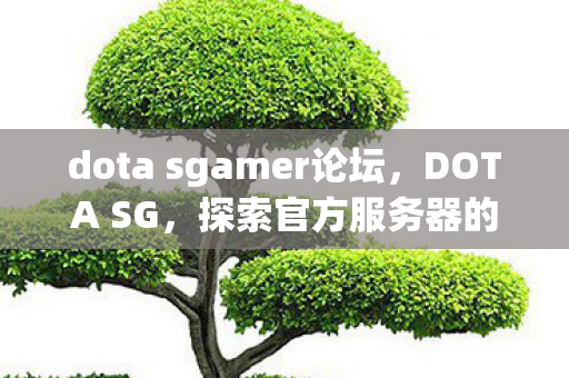 dota sgamer论坛,DOTA SG,探索官方服务器的独特魅力与优势 dota sgamer论坛,DOTA SG,探索官方服务器的独特魅力与优势