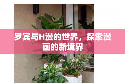 罗宾与H漫的世界,探索漫画的新境界 罗宾与H漫的世界,探索漫画的新境界