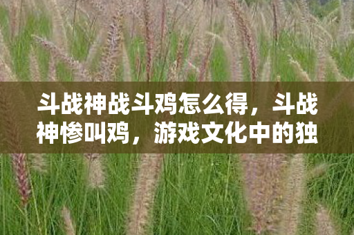 斗战神战斗鸡怎么得，斗战神惨叫鸡，游戏文化中的独特符号