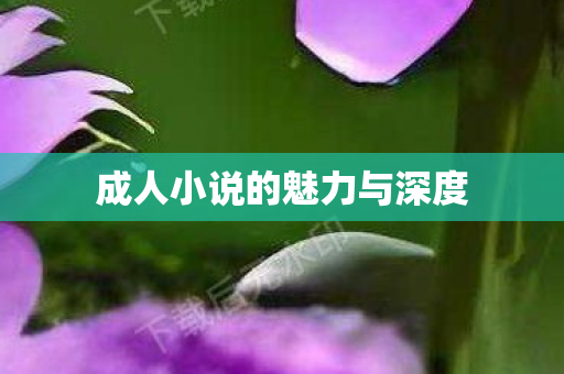 成人小说的魅力与深度 成人小说的魅力与深度